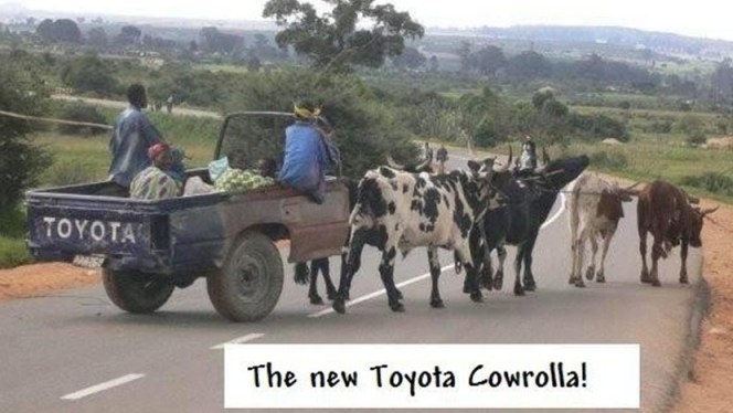 toyota.jpg