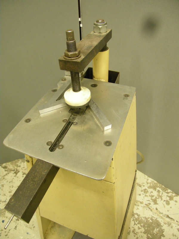DSCN6538.jpg