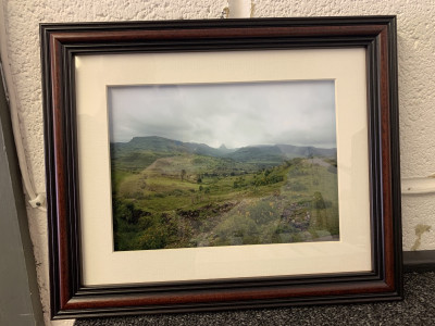 new landscape