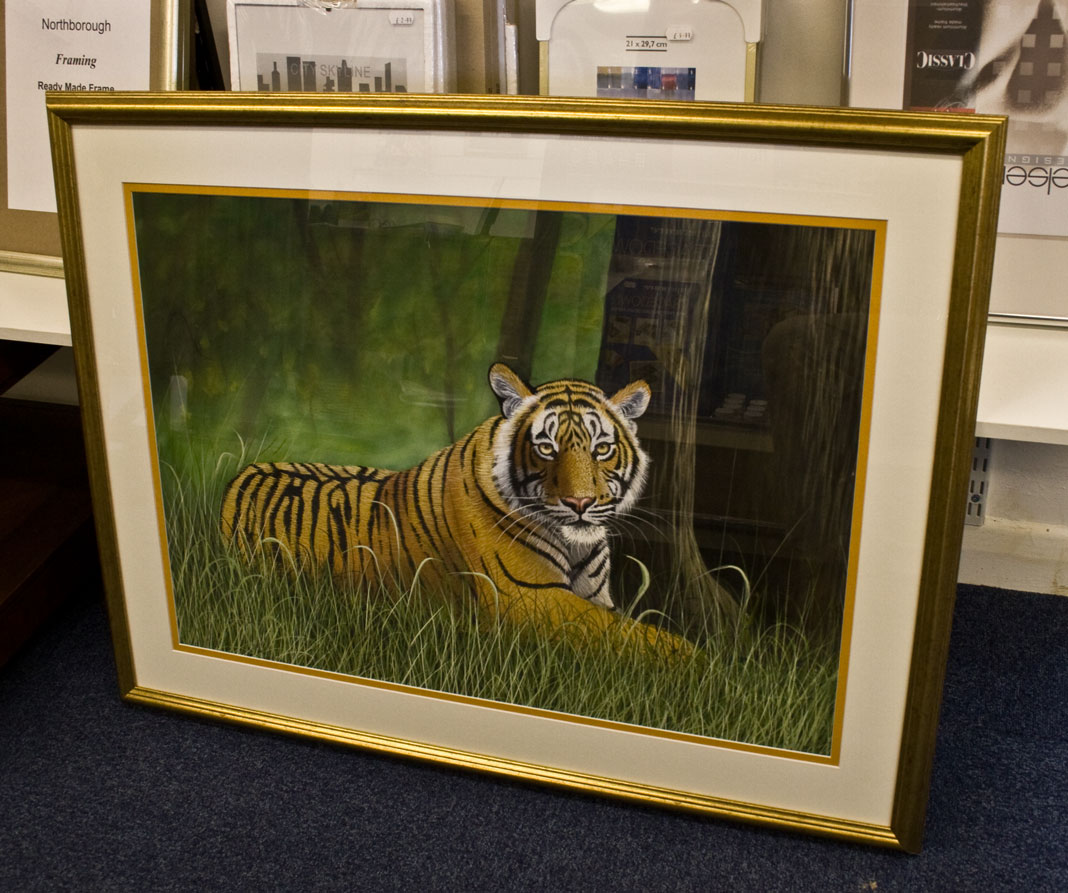 Silk-Tiger.jpg