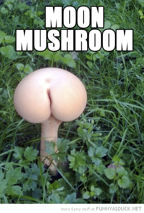 funny-butt-shaped-moon-mushroom-pics.jpg